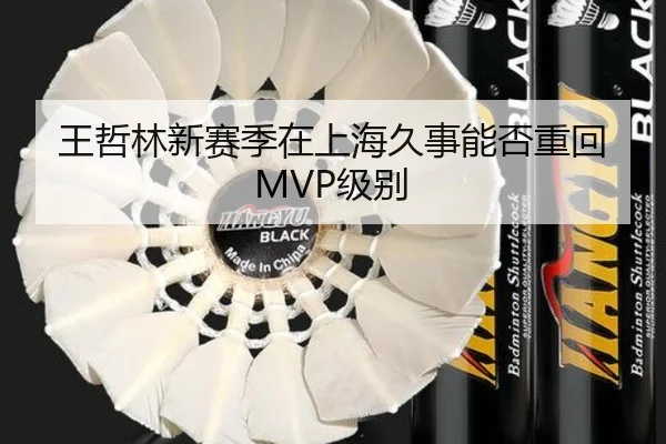 王哲林新赛季在上海久事能否重回MVP级别