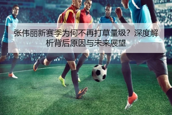 张伟丽新赛季为何不再打草量级？深度解析背后原因与未来展望